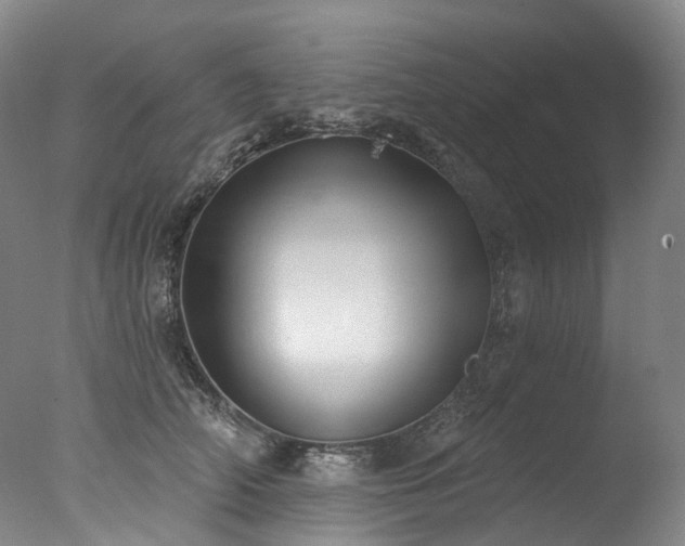 X0000077410706200610201501