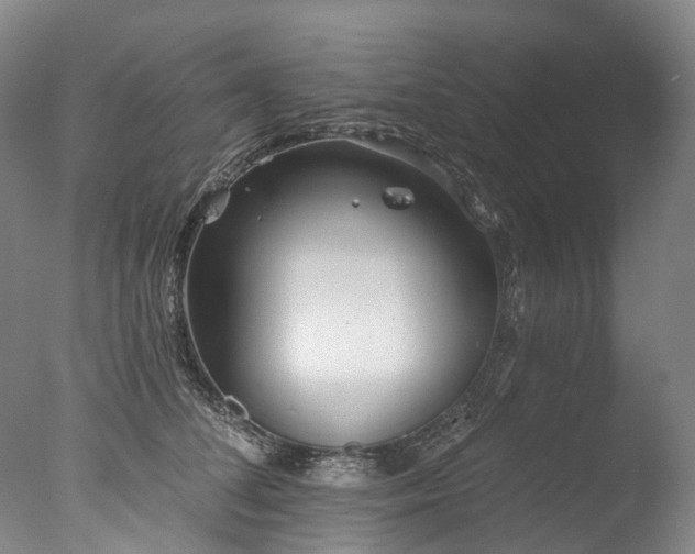 X0000077410708200610201501