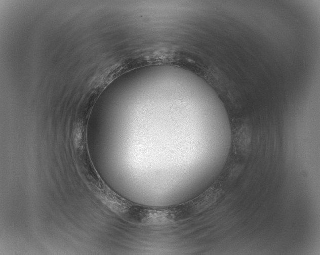 X0000077410709200610201501