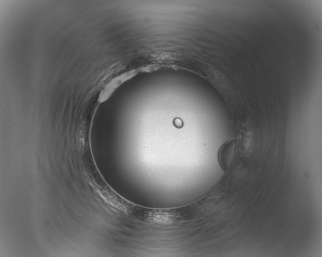 X0000077410710200610201501