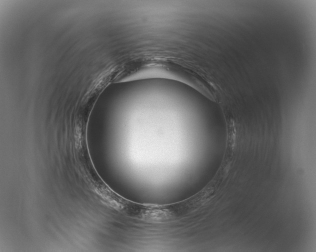 X0000077410716200610201501