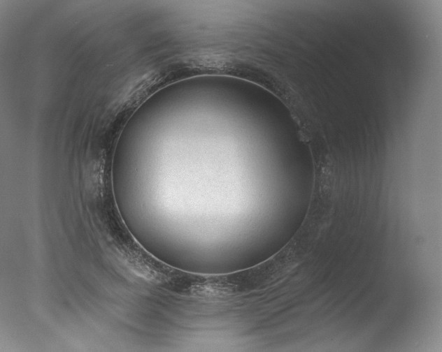 X0000077410739200610201500