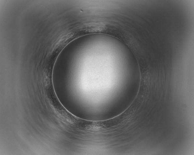X0000077410743200610201500