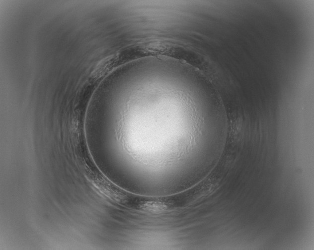 X0000077410749200610201500