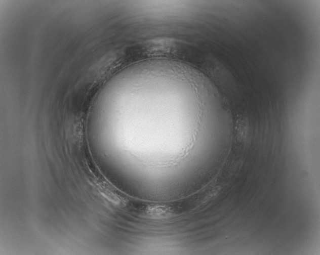 X0000077410753200610201500