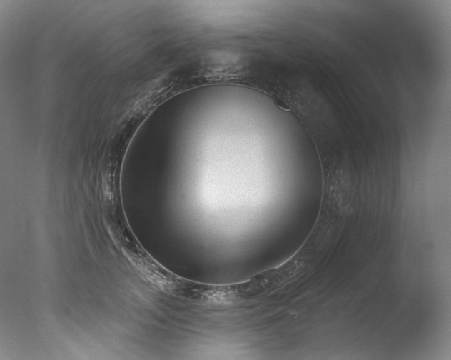 X0000077410755200610201500