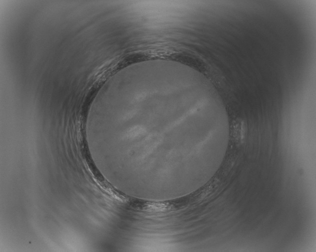 X0000077410757200610201500