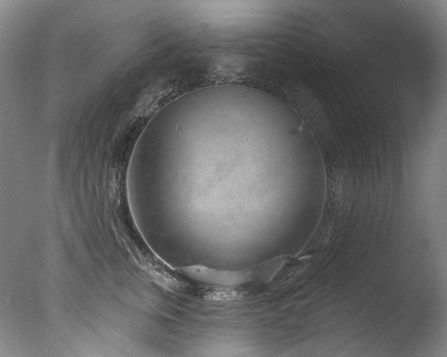 X0000077410759200610201500