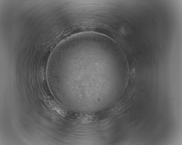 X0000077410772200610201500