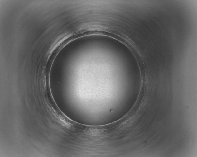 X0000077410782200610201500