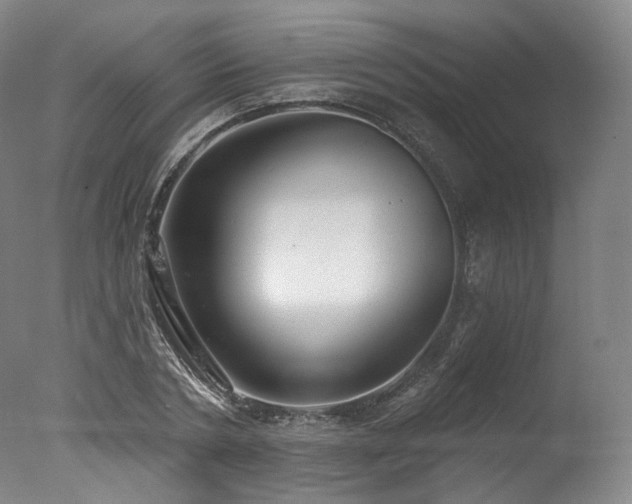 X0000077410786200610201500