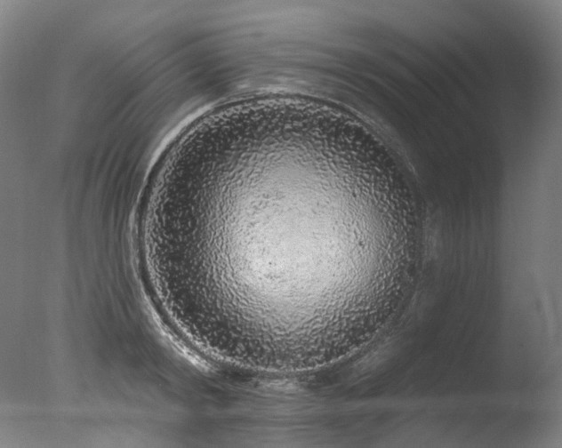 X0000077410798200610201459