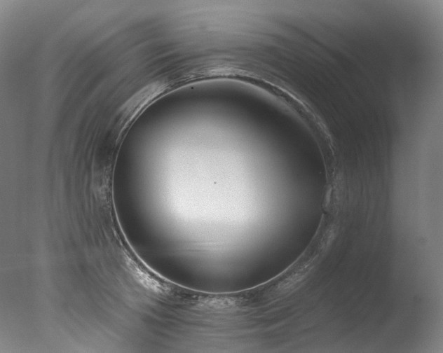 X0000077410801200610201459