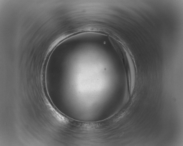 X0000077410803200610201459