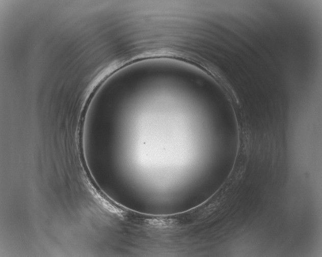 X0000077410805200610201459