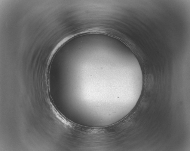 X0000077410808200610201459