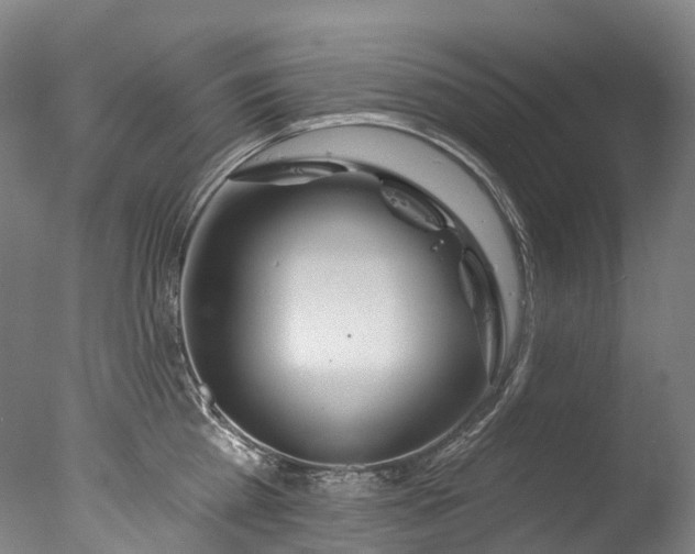 X0000077410809200610201459