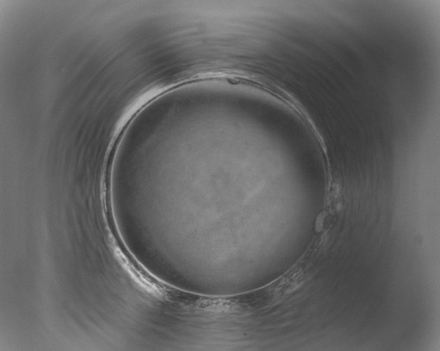 X0000077410811200610201459