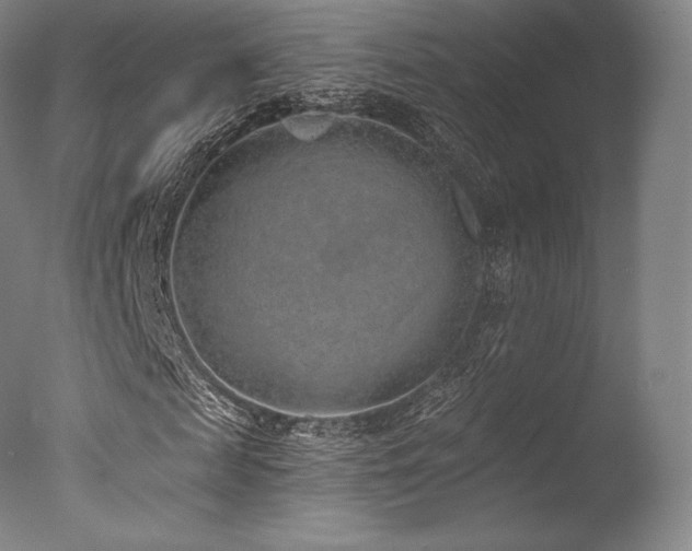 X0000077410817200610201458