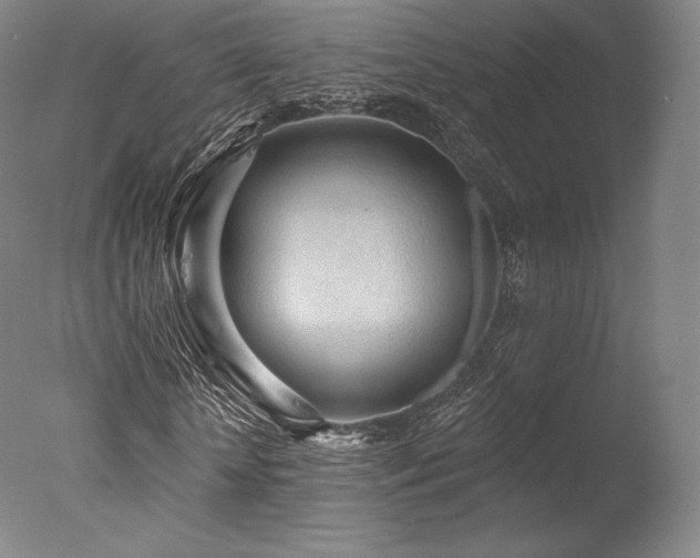 X0000077410818200610201458