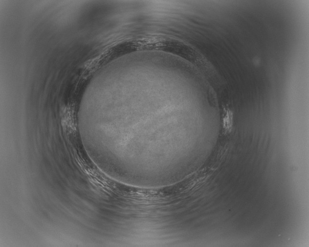 X0000077410819200610201458
