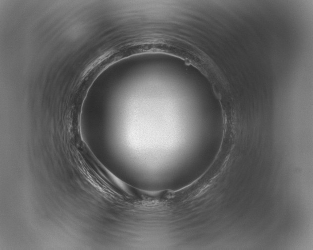 X0000077410826200610201458