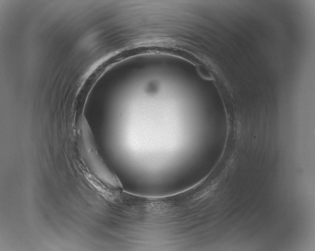 X0000077410830200610201458