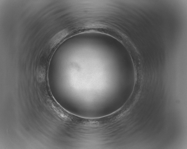X0000077410833200610201458