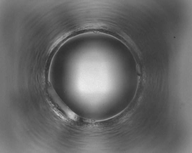 X0000077410834200610201459