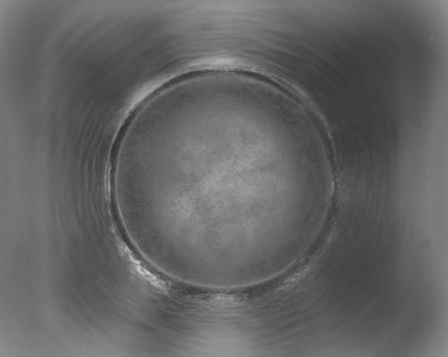 X0000077410839200610201459