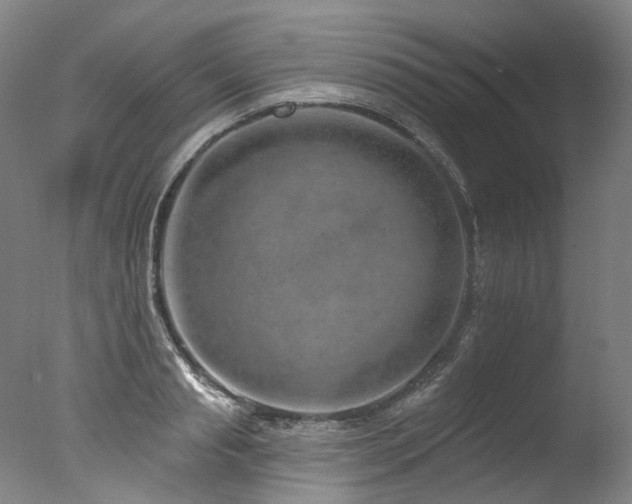 X0000077410845200610201459