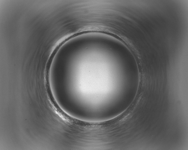X0000077410846200610201459