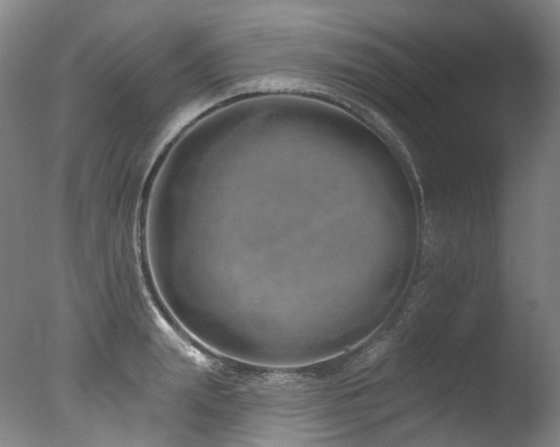 X0000077410847200610201459