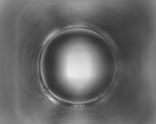 X0000077410858200610201459