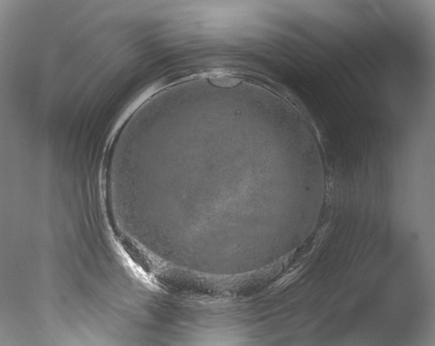 X0000077410859200610201459