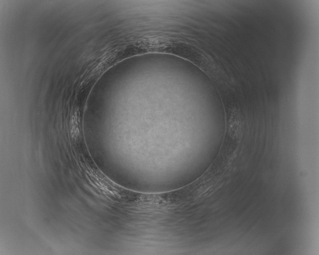X0000077410866200610201458