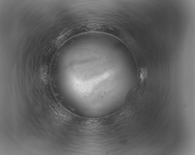 X0000077410867200610201458