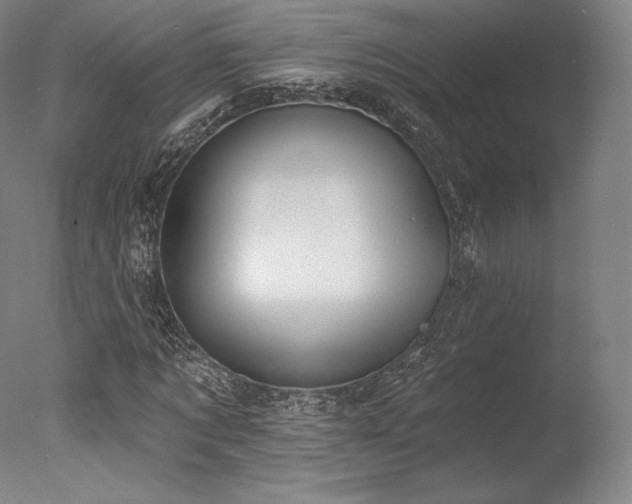 X0000077410869200610201458