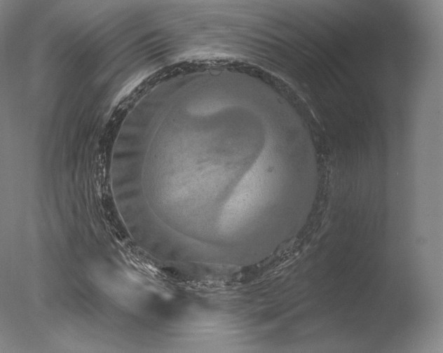 X0000077410871200610201458