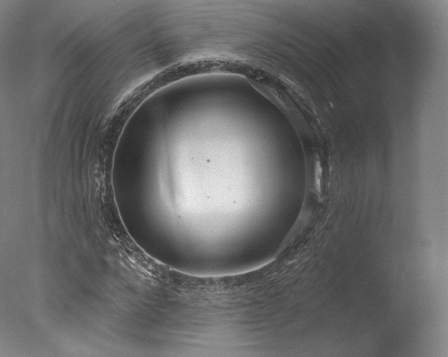 X0000077410872200610201458