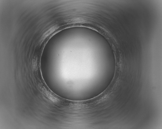 X0000077410873200610201458