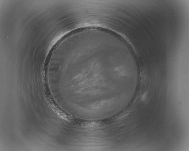 X0000077410879200610201458