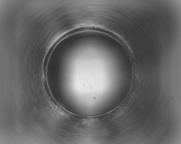 X0000077410887200610201458
