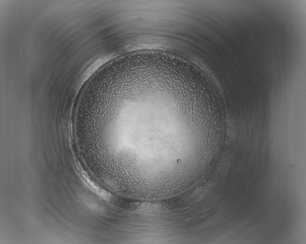 X0000077410890200610201458
