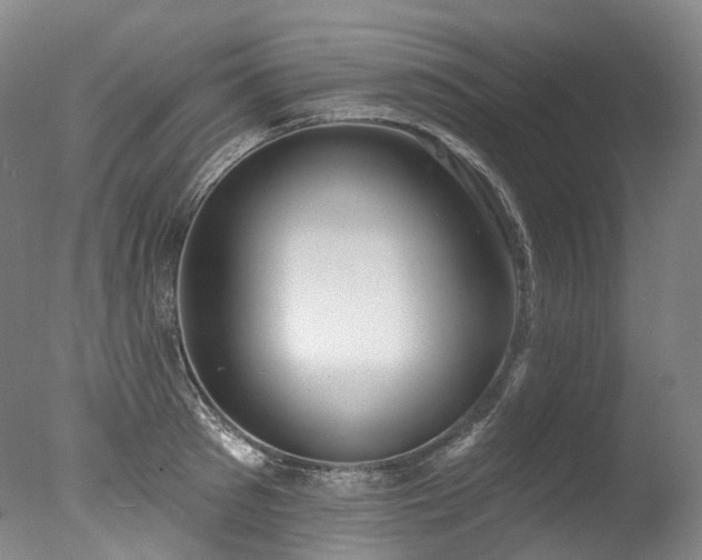 X0000077410897200610201458