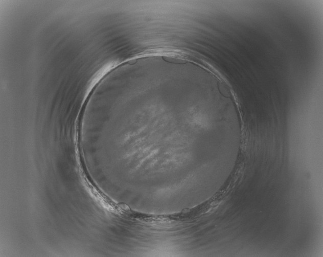 X0000077410907200610201458