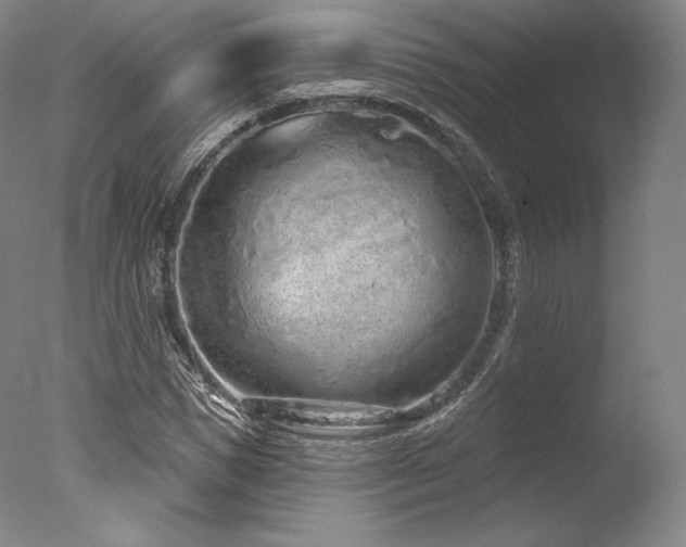 X0000077410921200610201457
