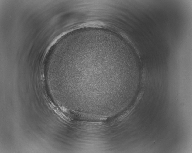 X0000077410923200610201457