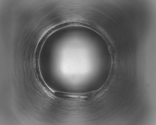 X0000077410924200610201457