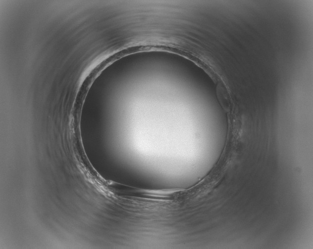 X0000077410928200610201457